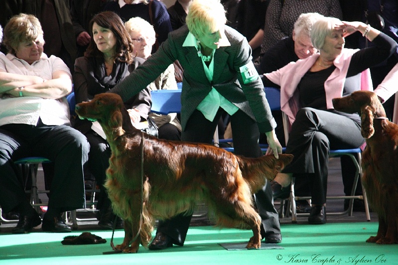 Crufts2011 783.jpg